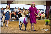 LCFair2016-7549.jpg