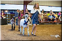 LCFair2016-7550.jpg