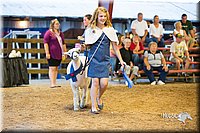 LCFair2016-7565.jpg