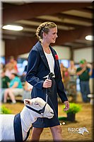 LCFair2016-7600.jpg