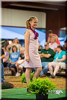 LCFair2016-7633.jpg