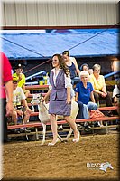 LCFair2016-7671.jpg