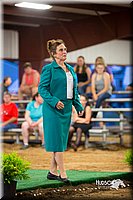 LCFair2016-7692.jpg