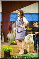 LCFair2016-7729.jpg