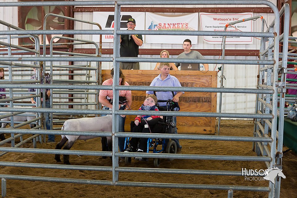 LCFair2016-7858.jpg