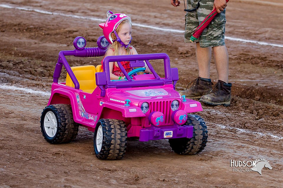 LCFair2016-8090.jpg