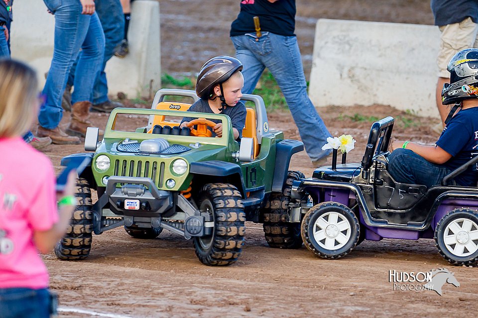 LCFair2016-8118.jpg