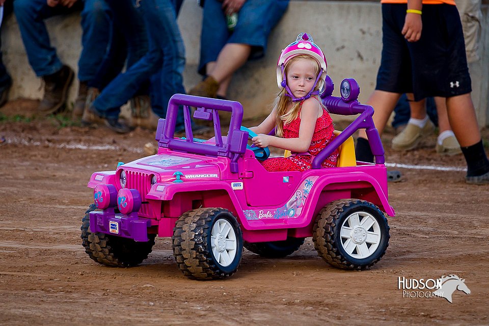 LCFair2016-8125.jpg