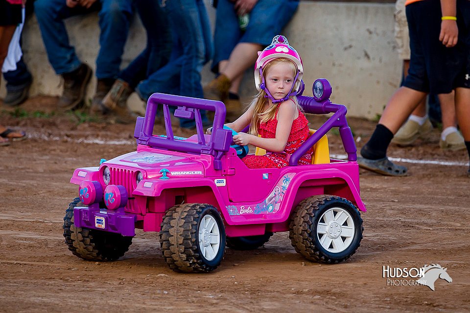 LCFair2016-8126.jpg