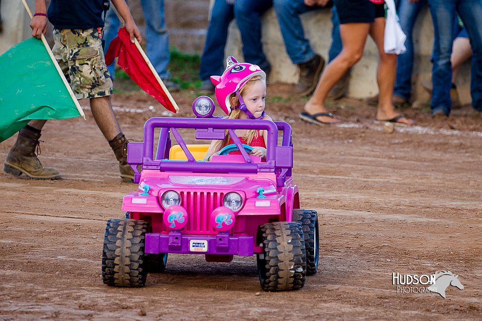 LCFair2016-8130.jpg