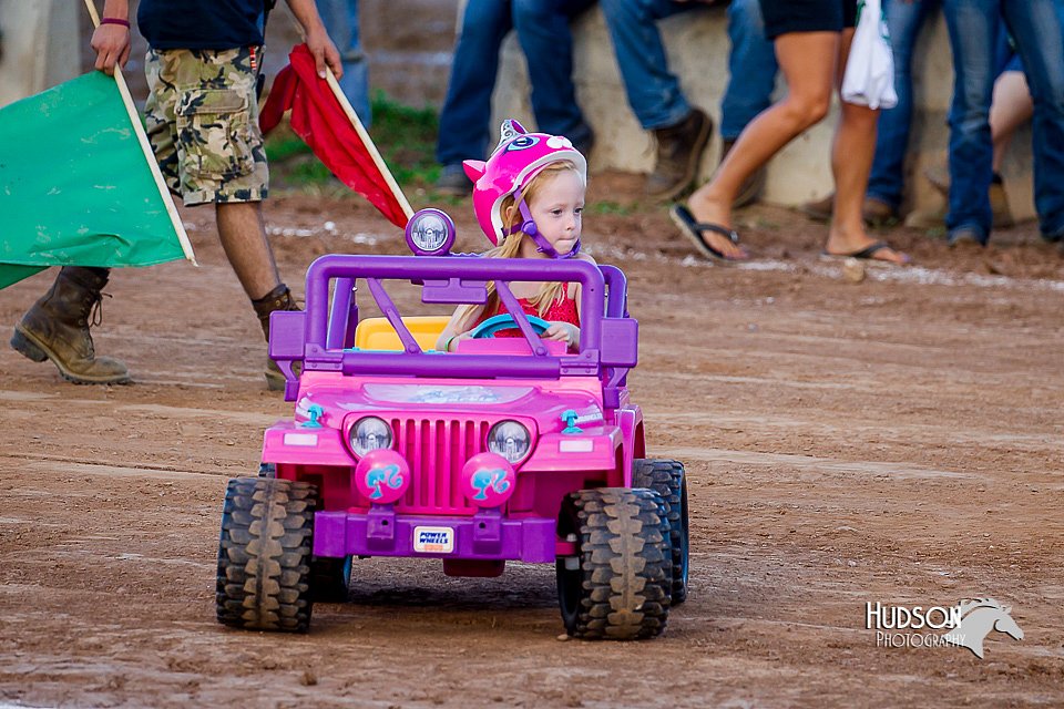 LCFair2016-8131.jpg