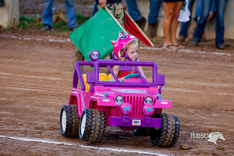 LCFair2016-8133.jpg