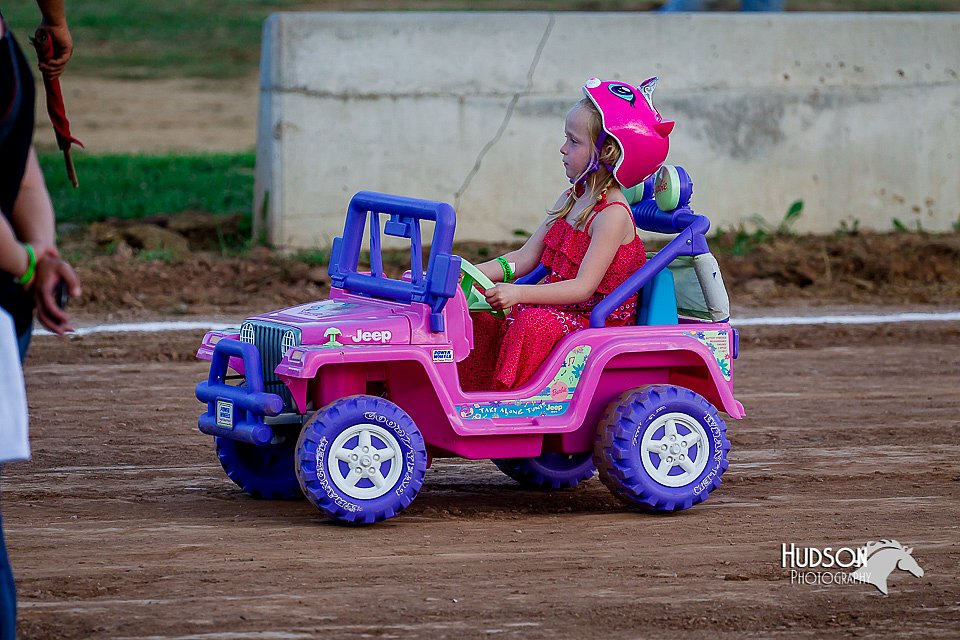 LCFair2016-8175.jpg