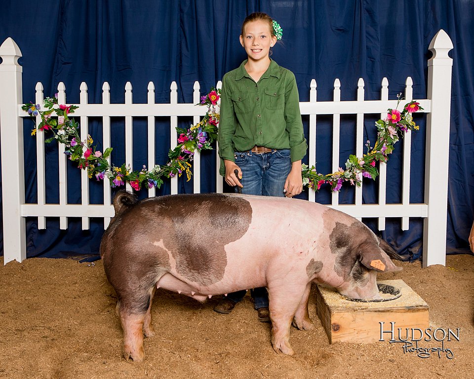 PIGS0155.jpg