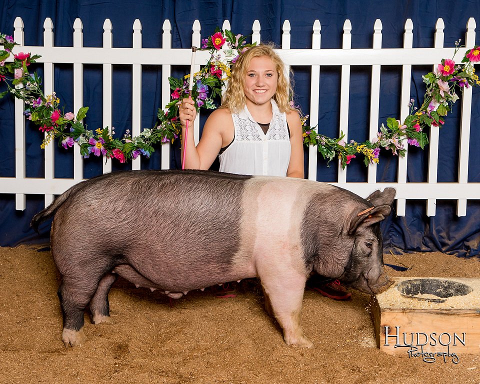 PIGS0197.jpg