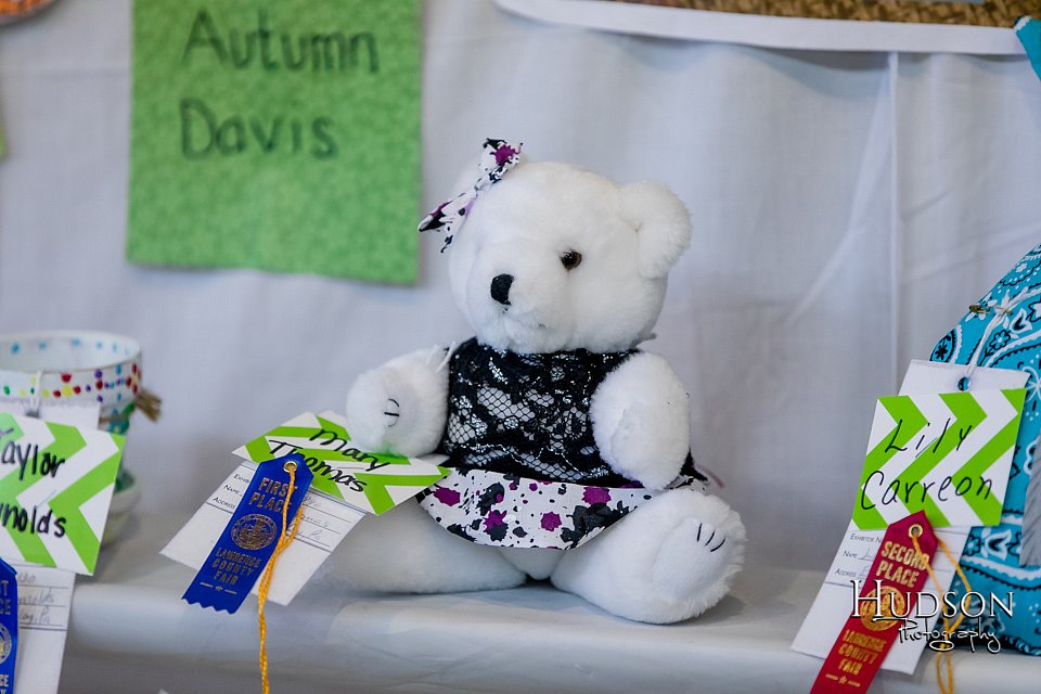 LCFAIR17-0651.jpg