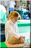 LCFAIR17-0189.jpg