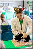 LCFAIR17-0221.jpg