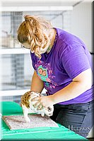 LCFAIR17-0263.jpg