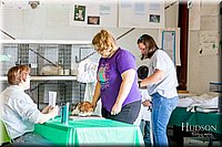 LCFAIR17-0295.jpg