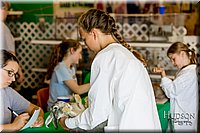 LCFAIR17-0323.jpg