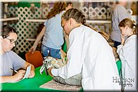 LCFAIR17-0325.jpg