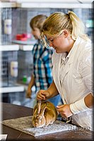 LCFAIR17-0397.jpg