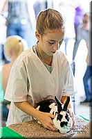 LCFAIR17-0410.jpg