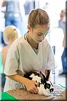 LCFAIR17-0411.jpg