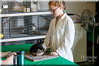 LCFAIR17-0473.jpg