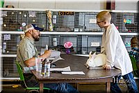 LCFAIR17-0510.jpg