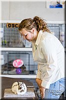 LCFAIR17-0576.jpg