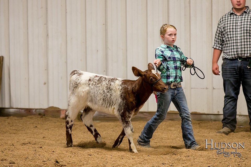 LCFAIR17-2394.jpg