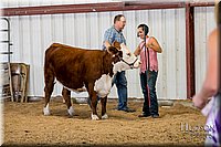 LCFAIR17-2063.jpg