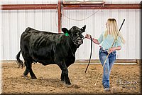 LCFAIR17-2141.jpg