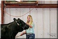 LCFAIR17-2160.jpg