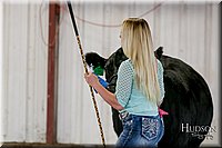 LCFAIR17-2172.jpg