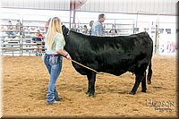 LCFAIR17-2181.jpg