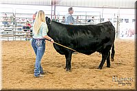 LCFAIR17-2182.jpg