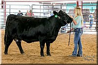 LCFAIR17-2186.jpg