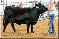 LCFAIR17-2187.jpg