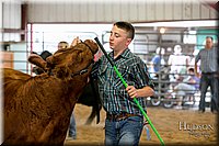 LCFAIR17-2193.jpg