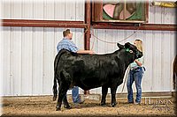 LCFAIR17-2199.jpg