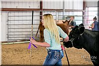 LCFAIR17-2203.jpg