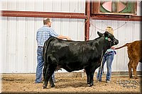 LCFAIR17-2225.jpg