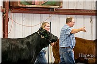 LCFAIR17-2227.jpg