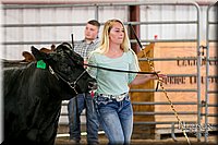 LCFAIR17-2228.jpg