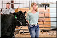 LCFAIR17-2229.jpg