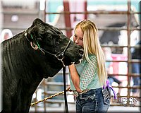 LCFAIR17-2238.jpg