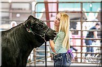 LCFAIR17-2239.jpg